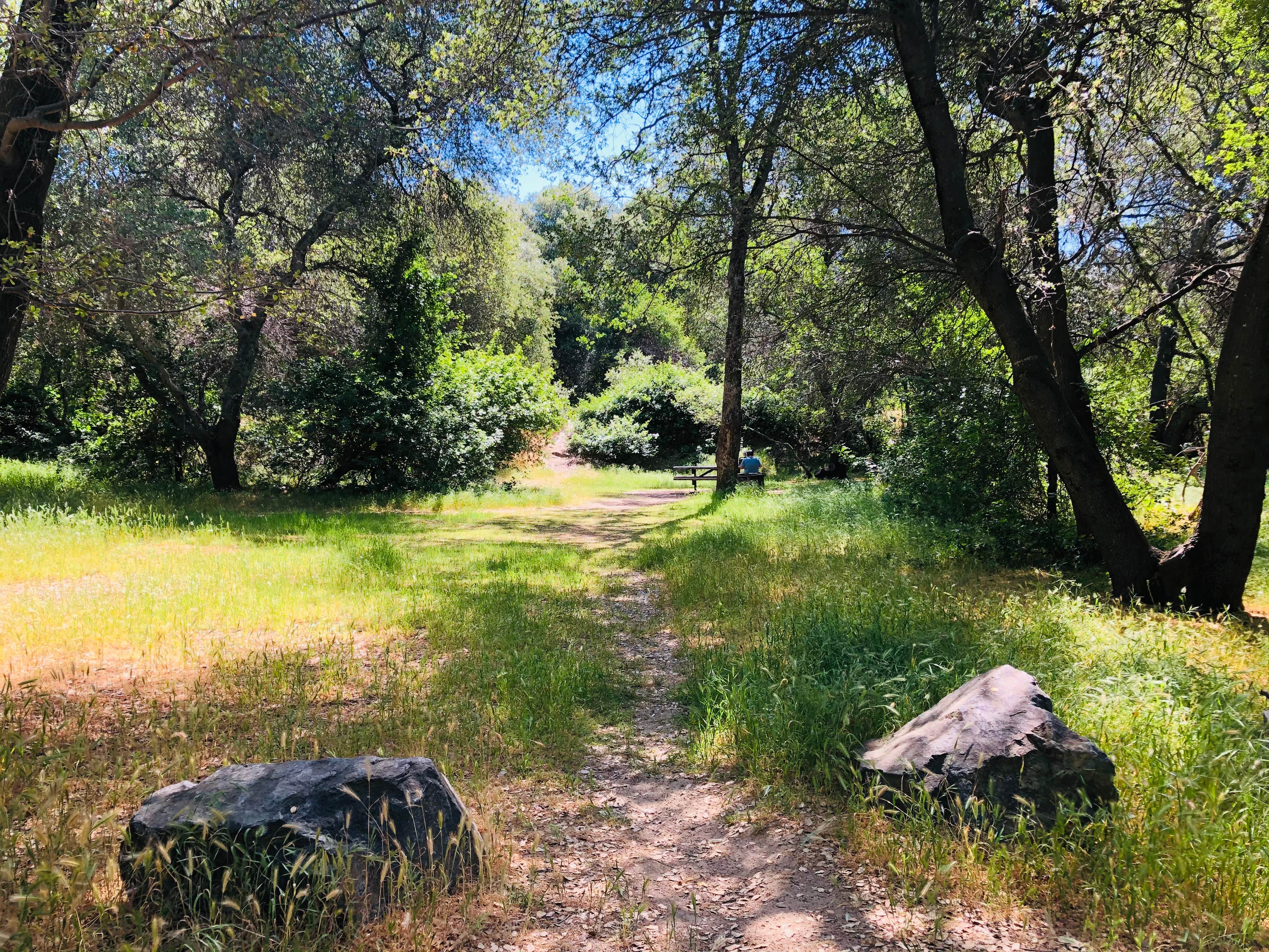 Beals Point Campground The Dyrt