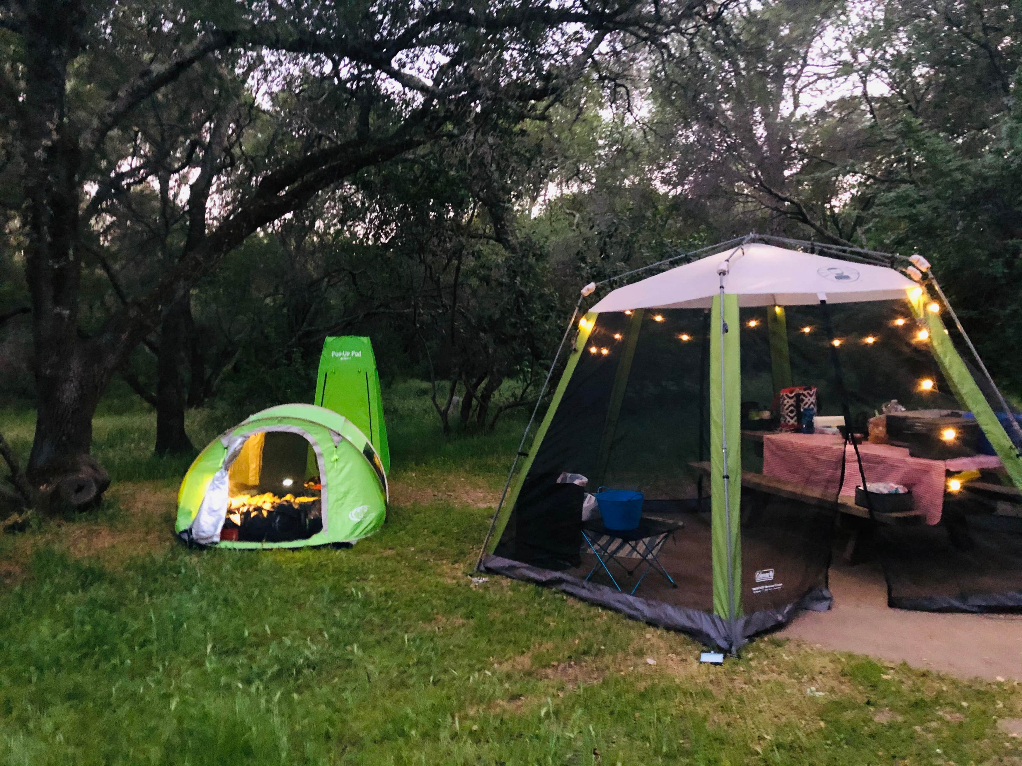 Beals Point Campground The Dyrt