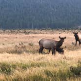 Review photo of Moraine Loop Campground by Krystle T., May 13, 2021