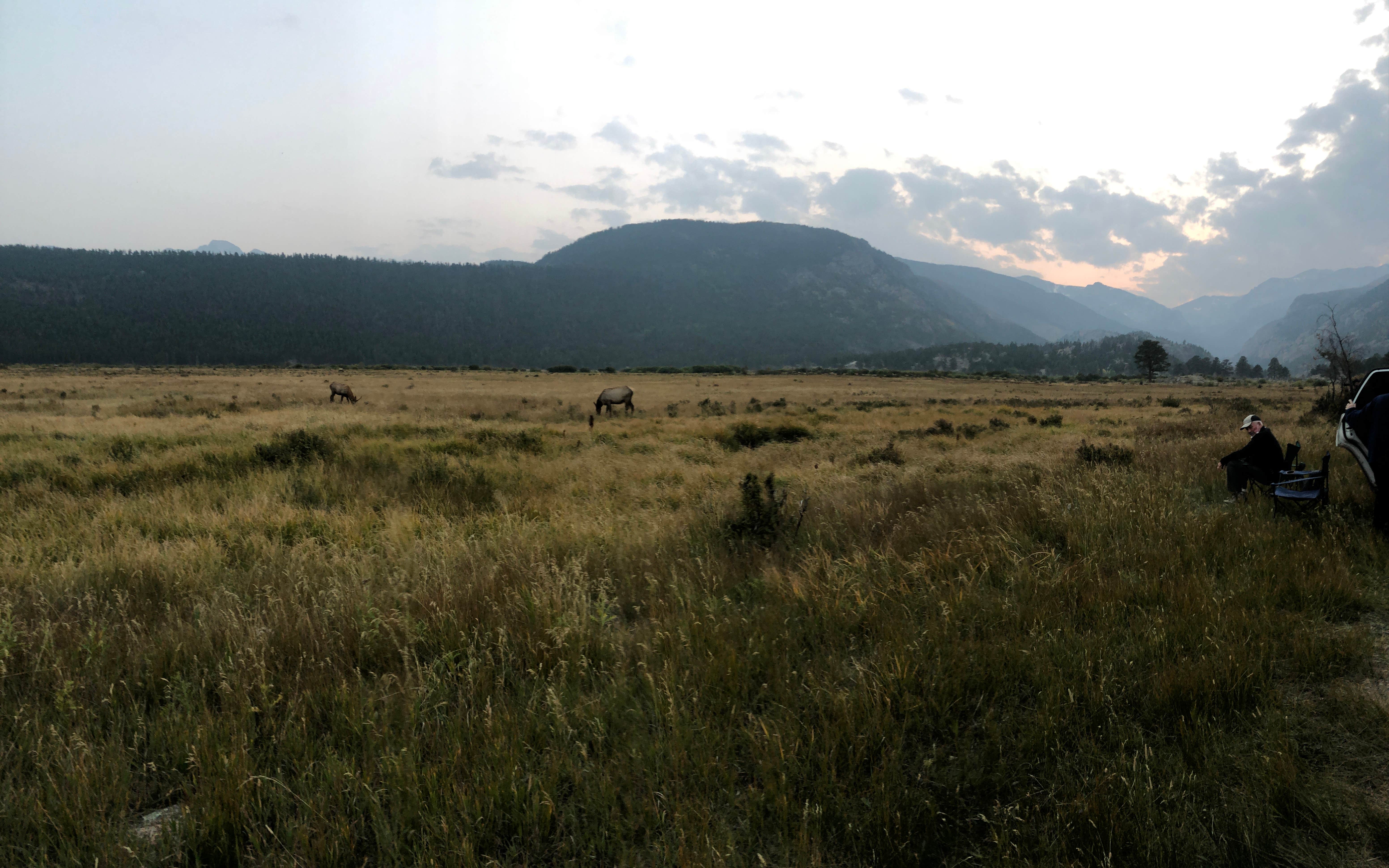 Camper submitted image from Moraine Loop Campground - 5