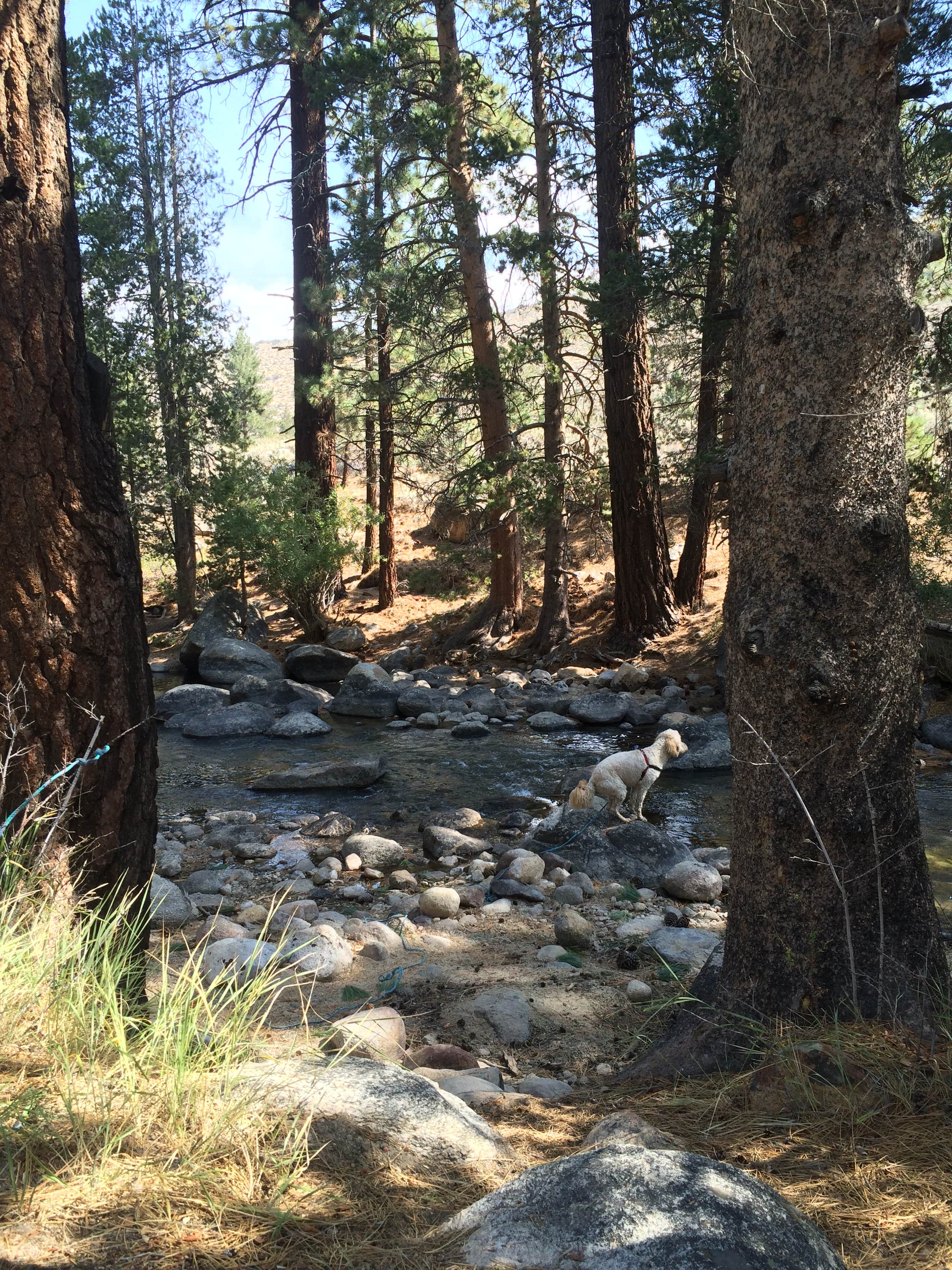 Camper submitted image from Lower Twin Lake Campground - 4