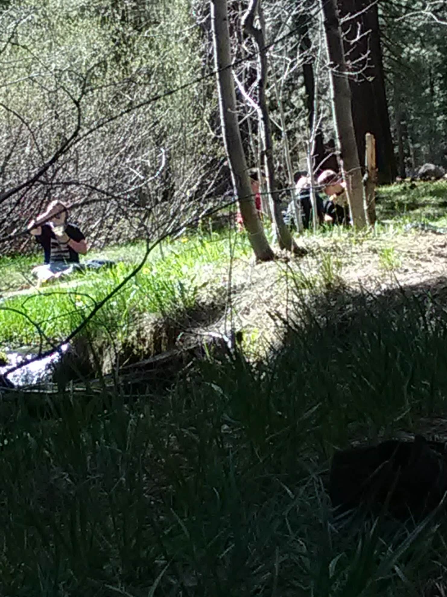 Conklin Park Campgrounds The Dyrt