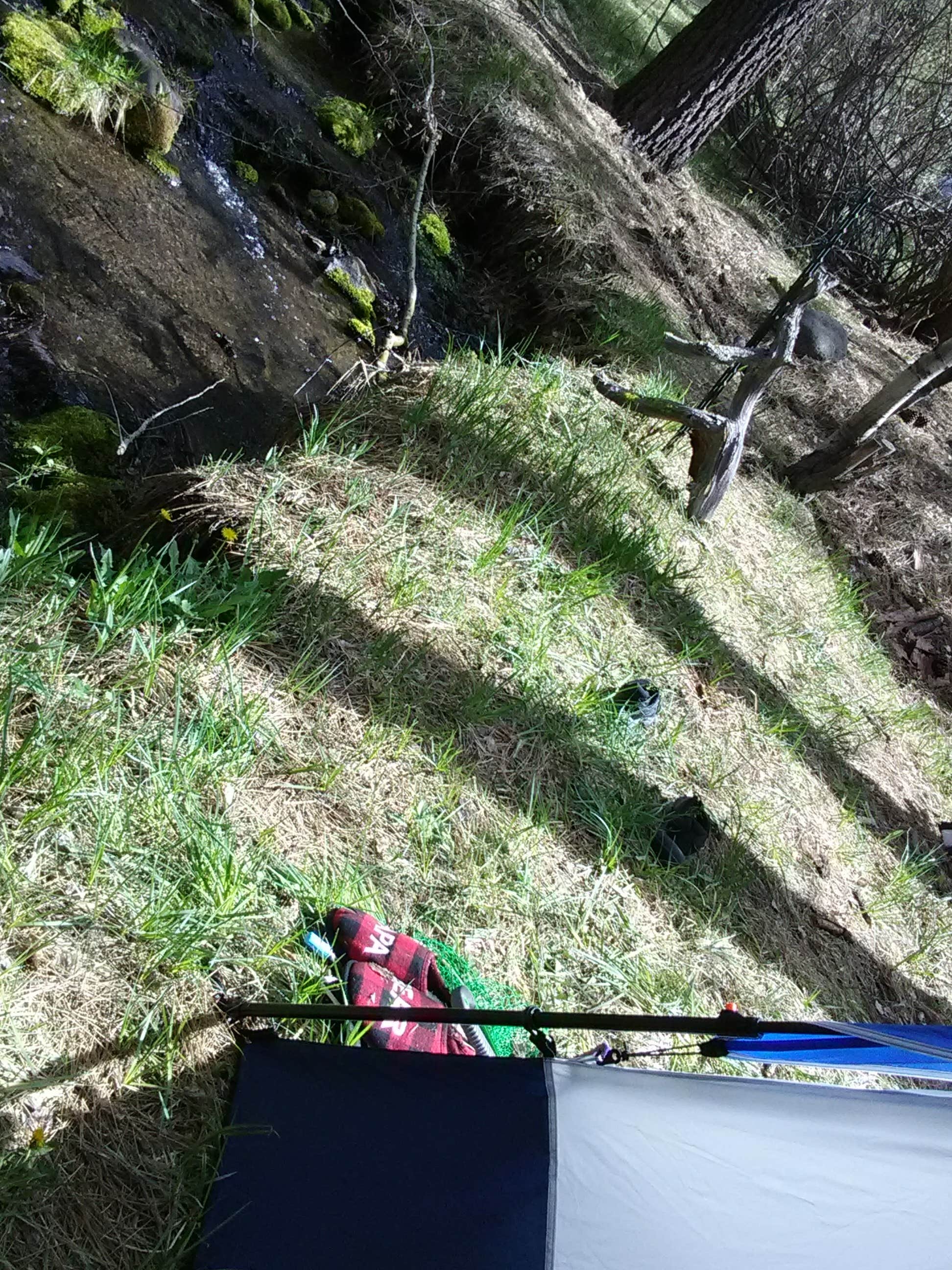 Camper-submitted photo at Conklin Park Campgrounds near Doyle, CA