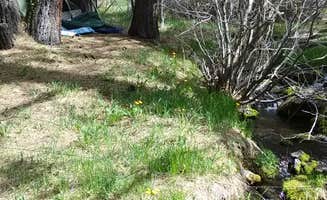Chelsea D.'s photo at Conklin Park Campgrounds near Susanville, CA