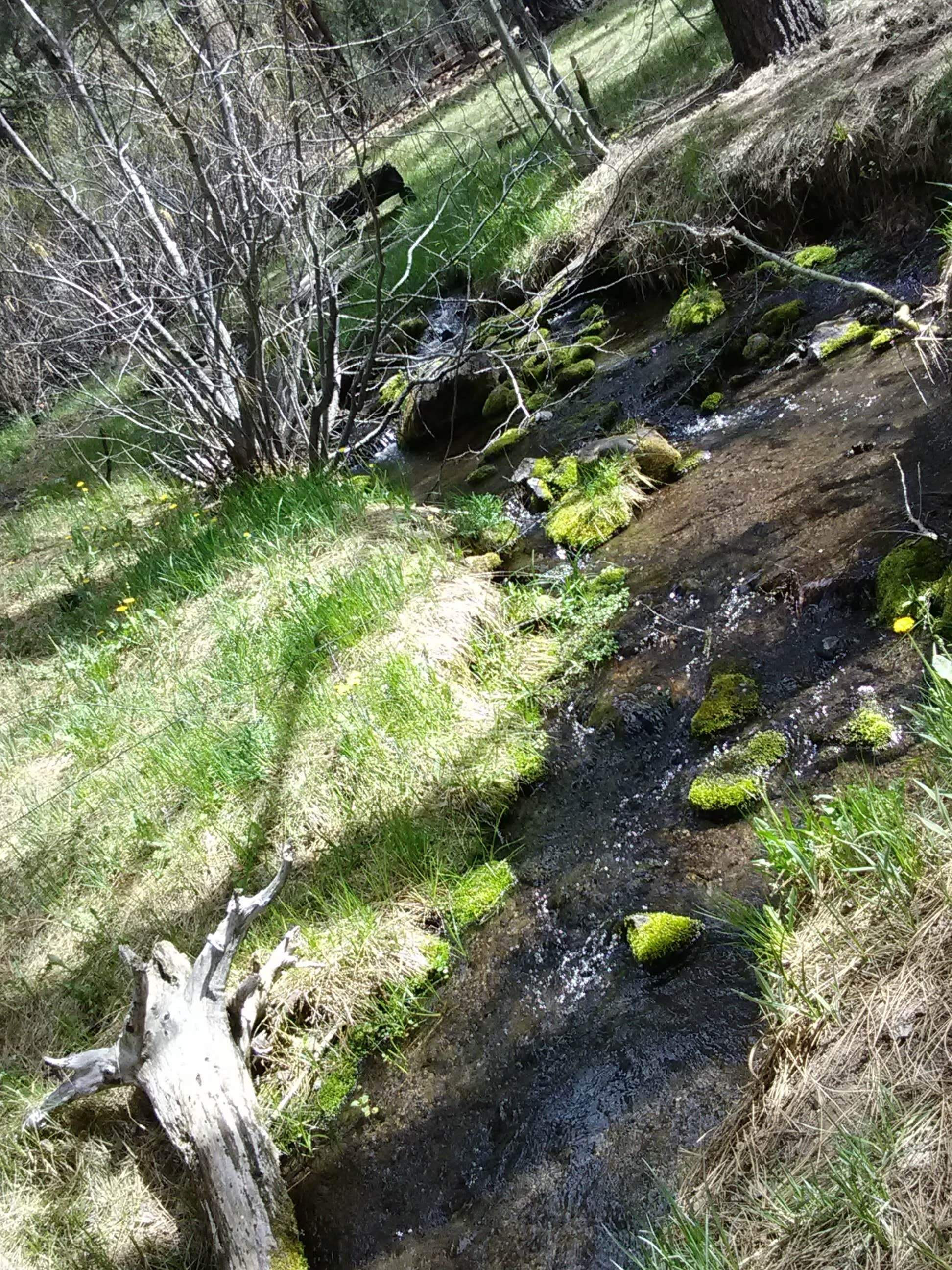 Camper-submitted photo at Conklin Park Campgrounds near Doyle, CA