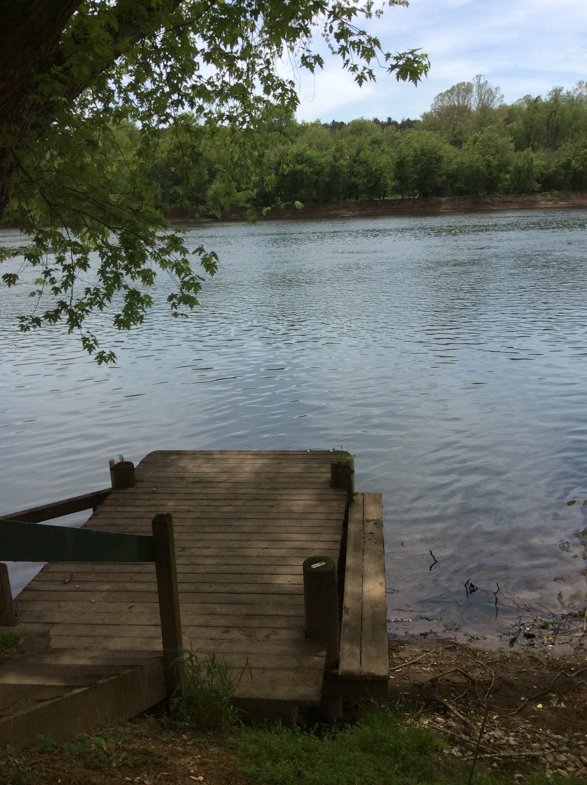 Camper submitted image from Camping on The New River, Blacksburg VA - 2