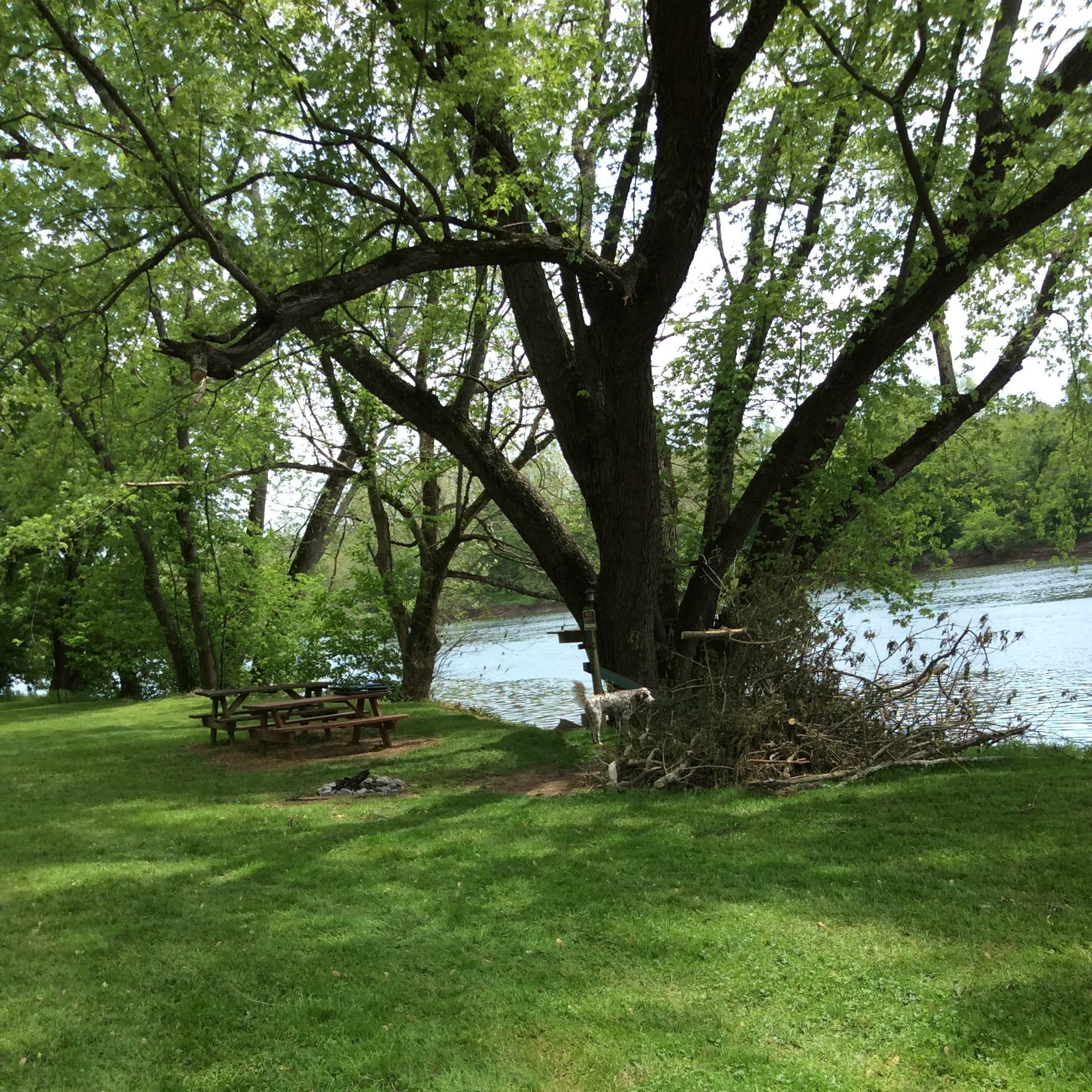 Camping on The New River, Blacksburg VA Camping The Dyrt
