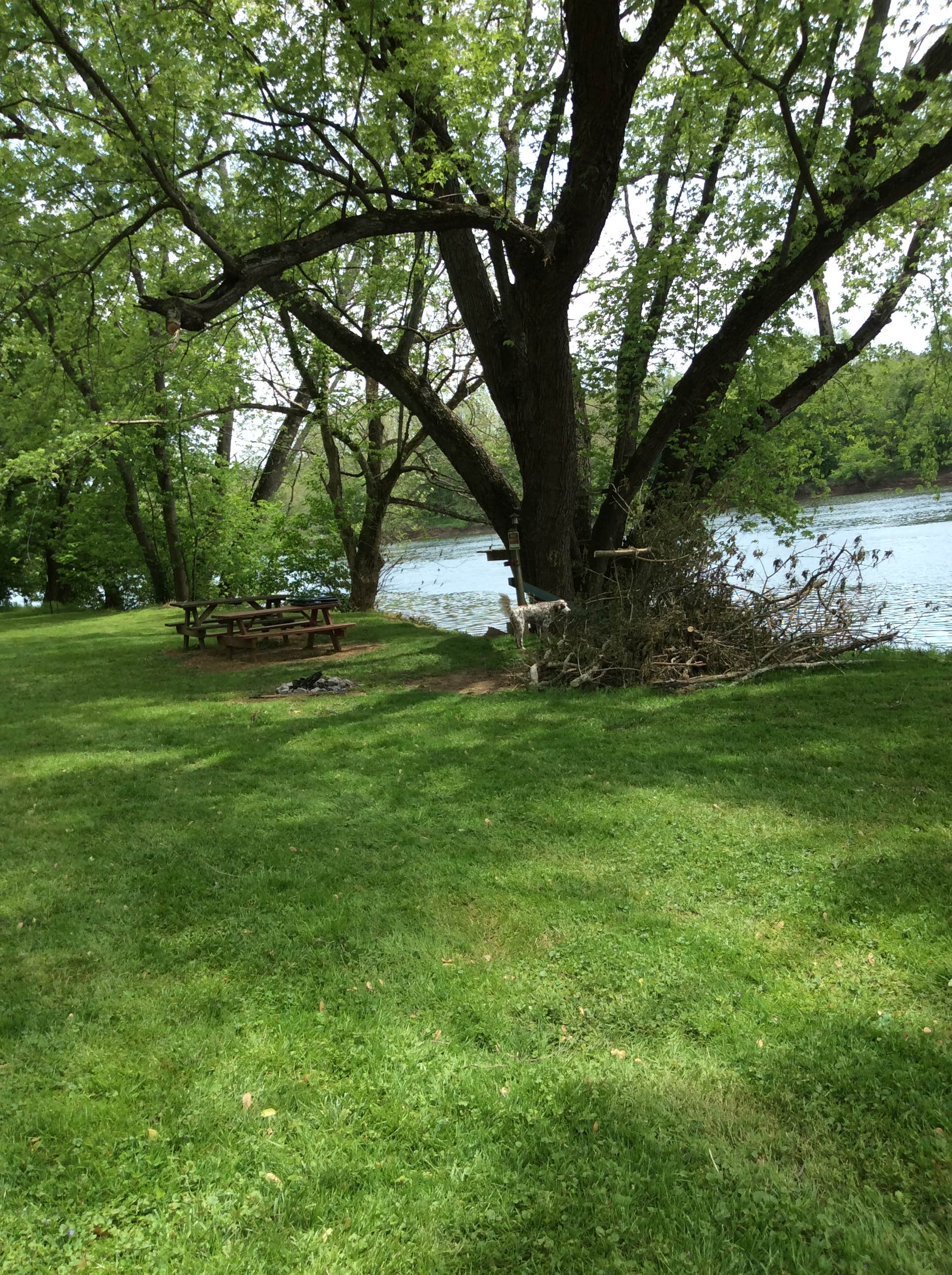 Camper submitted image from Camping on The New River, Blacksburg VA - 2