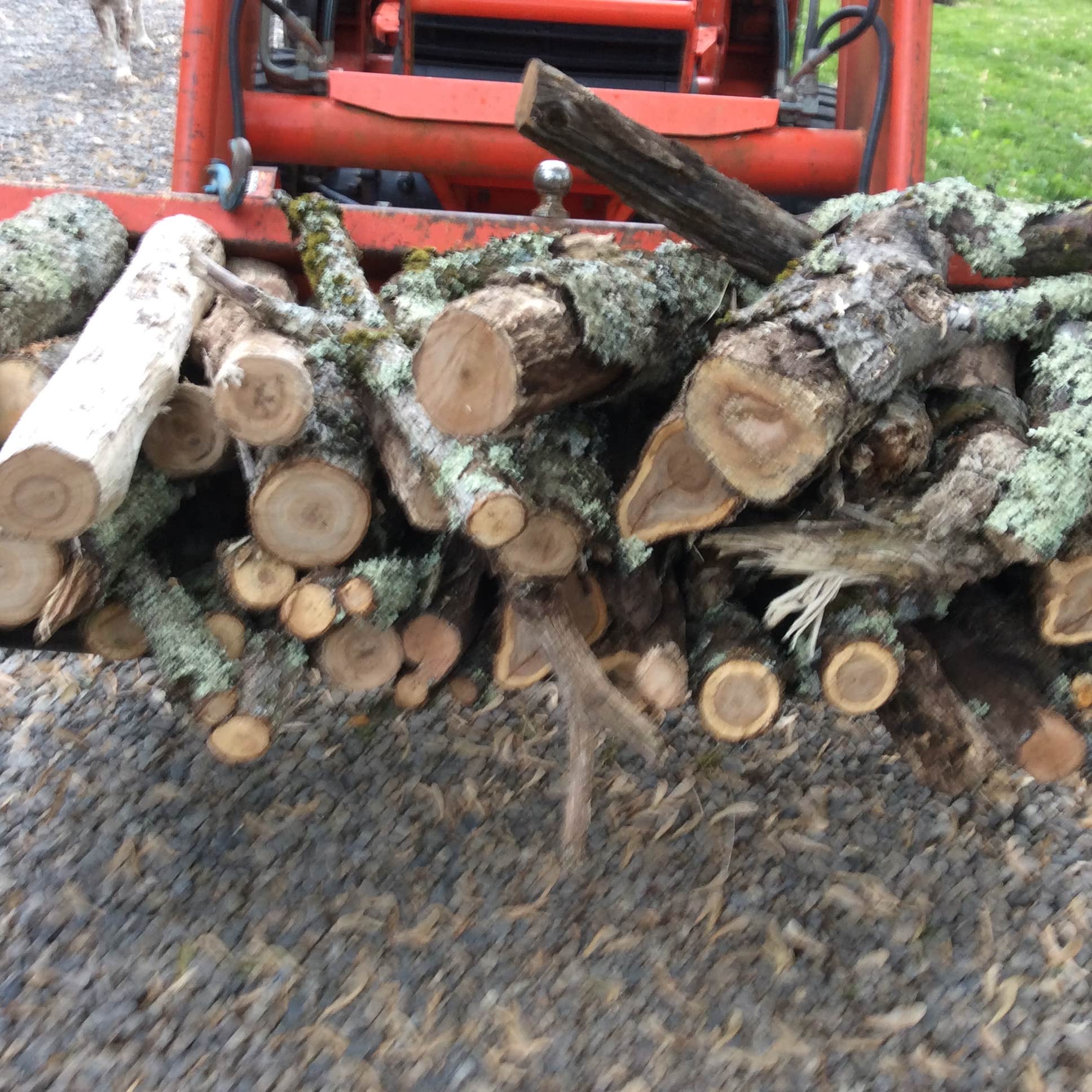 Camping on The New River, Blacksburg VA Camping The Dyrt