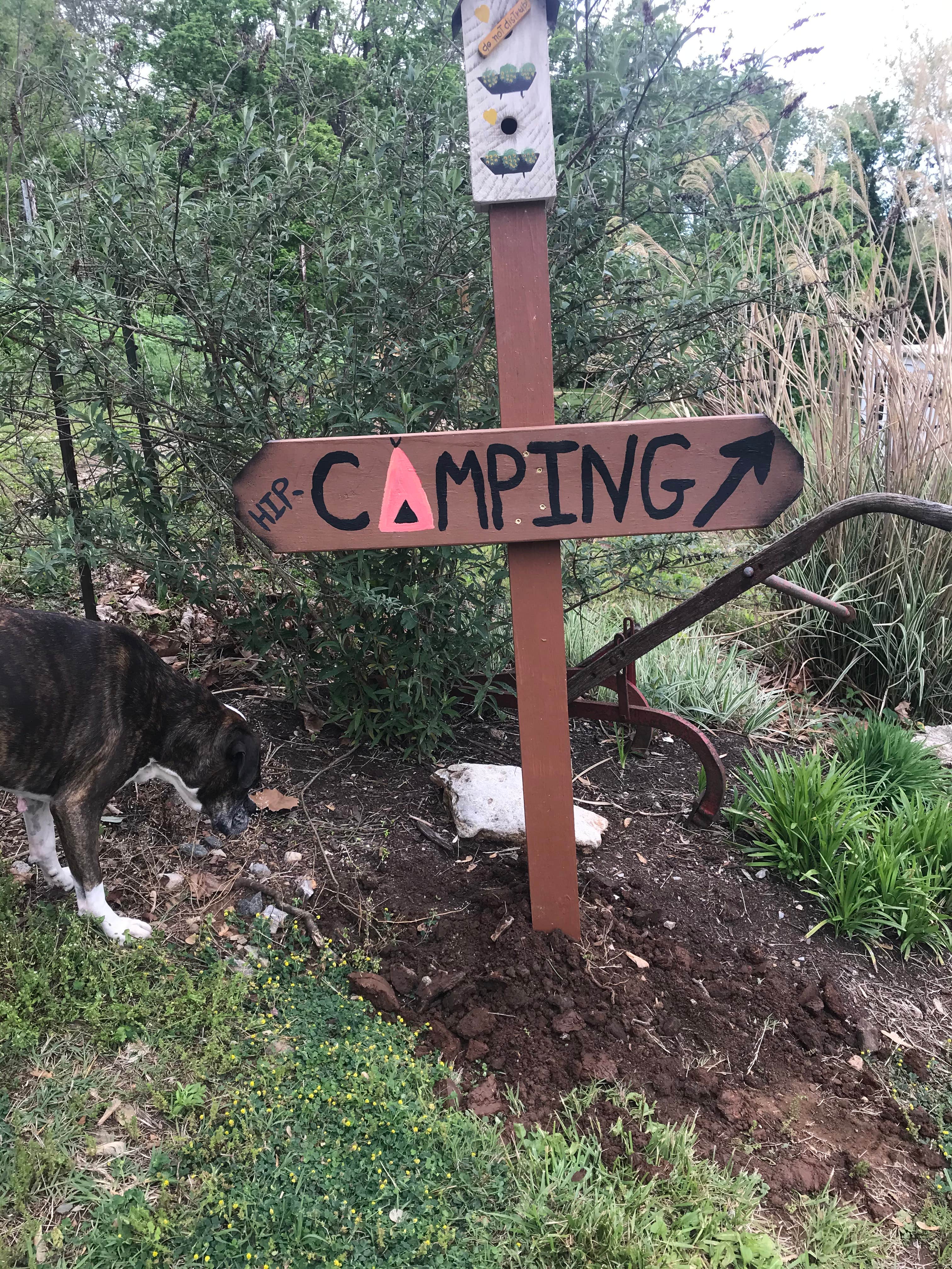 Camper submitted image from Camping on The New River, Blacksburg VA - 4