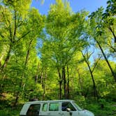 Review photo of Andrew's Cove Campground — Chattahoochee Oconee National Forest by Ryan  W., May 13, 2021