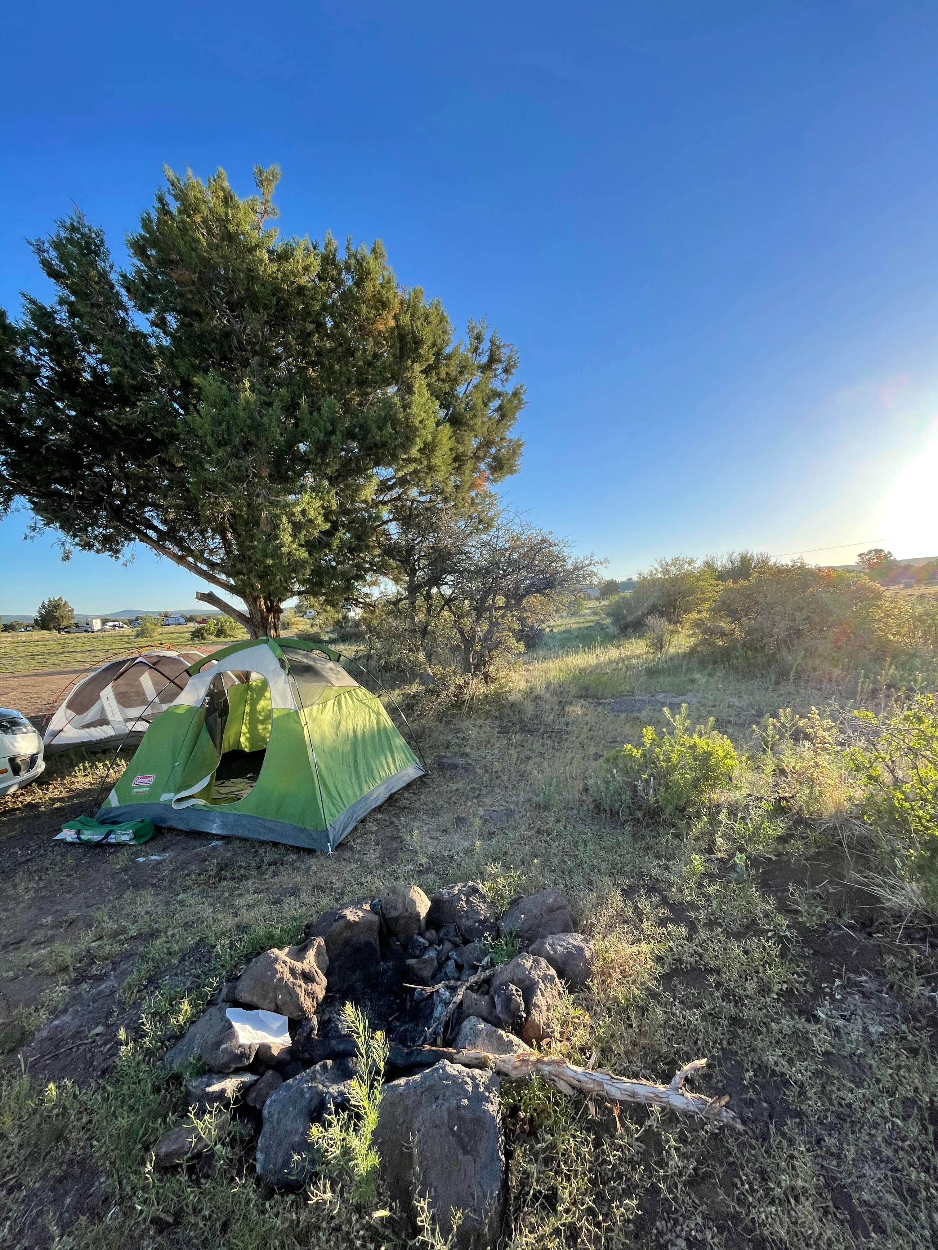 Spencer R.'s photo at Kaibab National Forest near Seligman, AZ