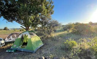 Spencer R.'s photo at Kaibab National Forest near Seligman, AZ