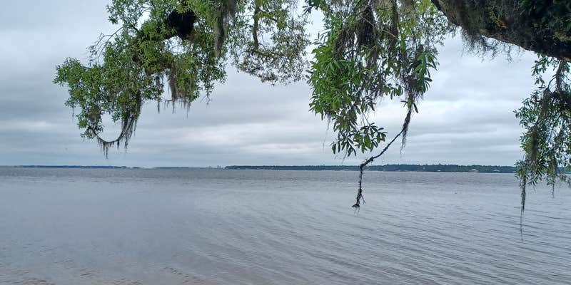 Camper submitted image from Blue Angel Park