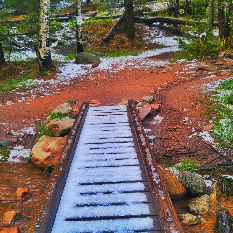 Big Tesuque Campground Camping The Dyrt