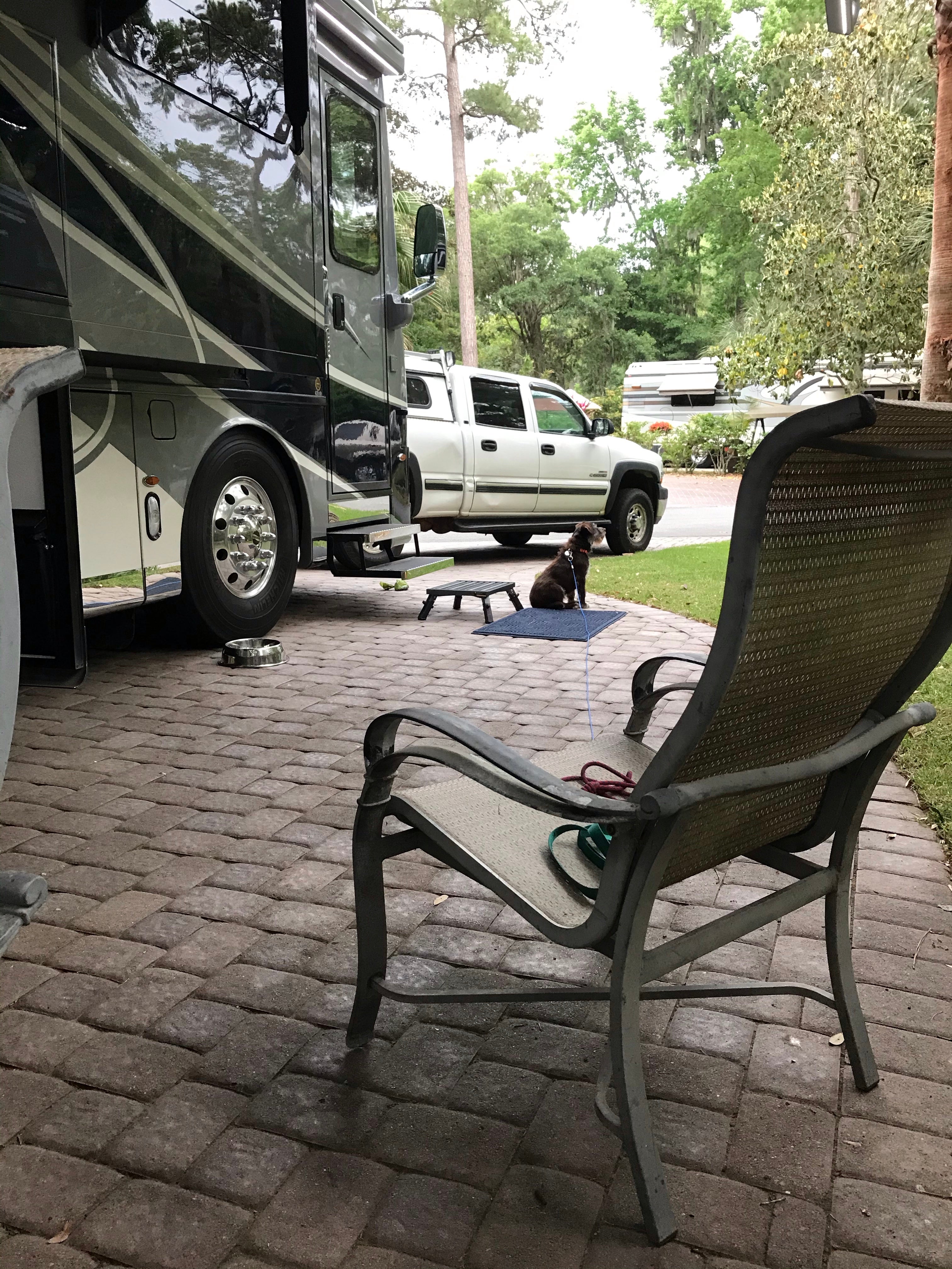 Camper submitted image from Hilton Head Island Motorcoach Resort - 5