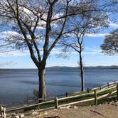 Review photo of Moorings Campground by Angie  K., June 3, 2018