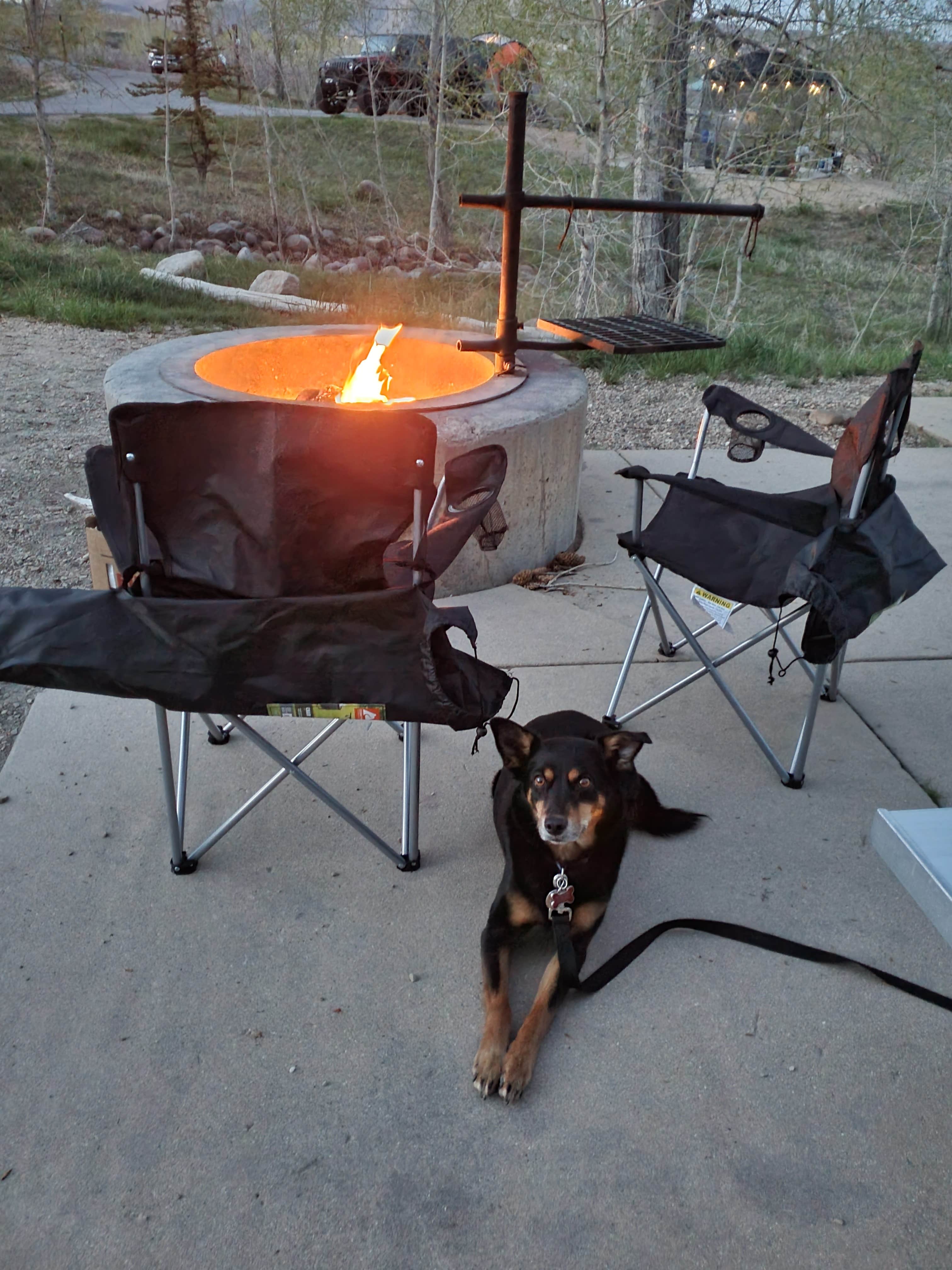 Natalee M.'s photo of camping with pets at Hailstone - Upper Fisher Campground — Jordanelle State Park near Cottonwood Heights, UT