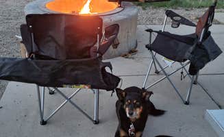 Natalee M.'s photo of camping with pets at Hailstone - Upper Fisher Campground — Jordanelle State Park near Echo, UT