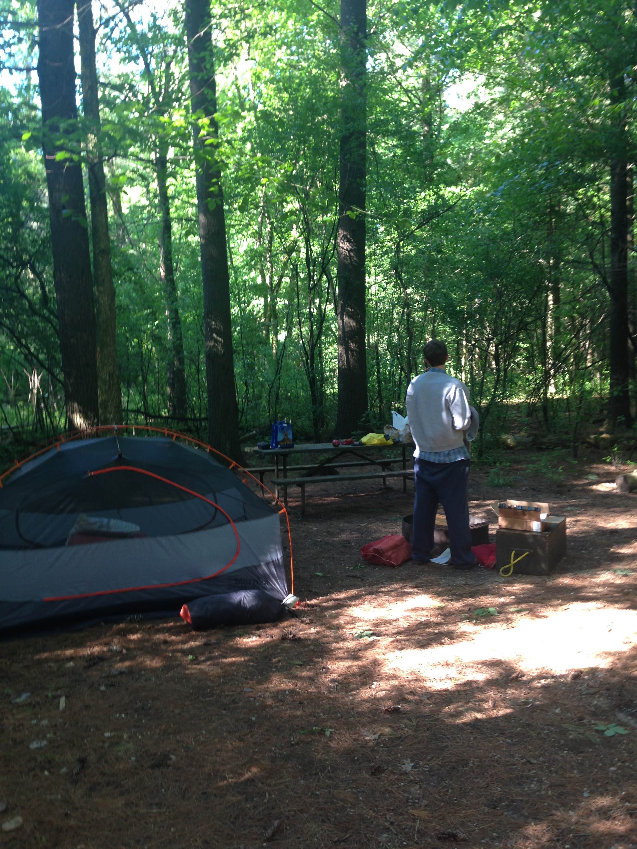 Camper submitted image from Pinewoods Campground — Kettle Moraine State Forest-Southern Unit - 5