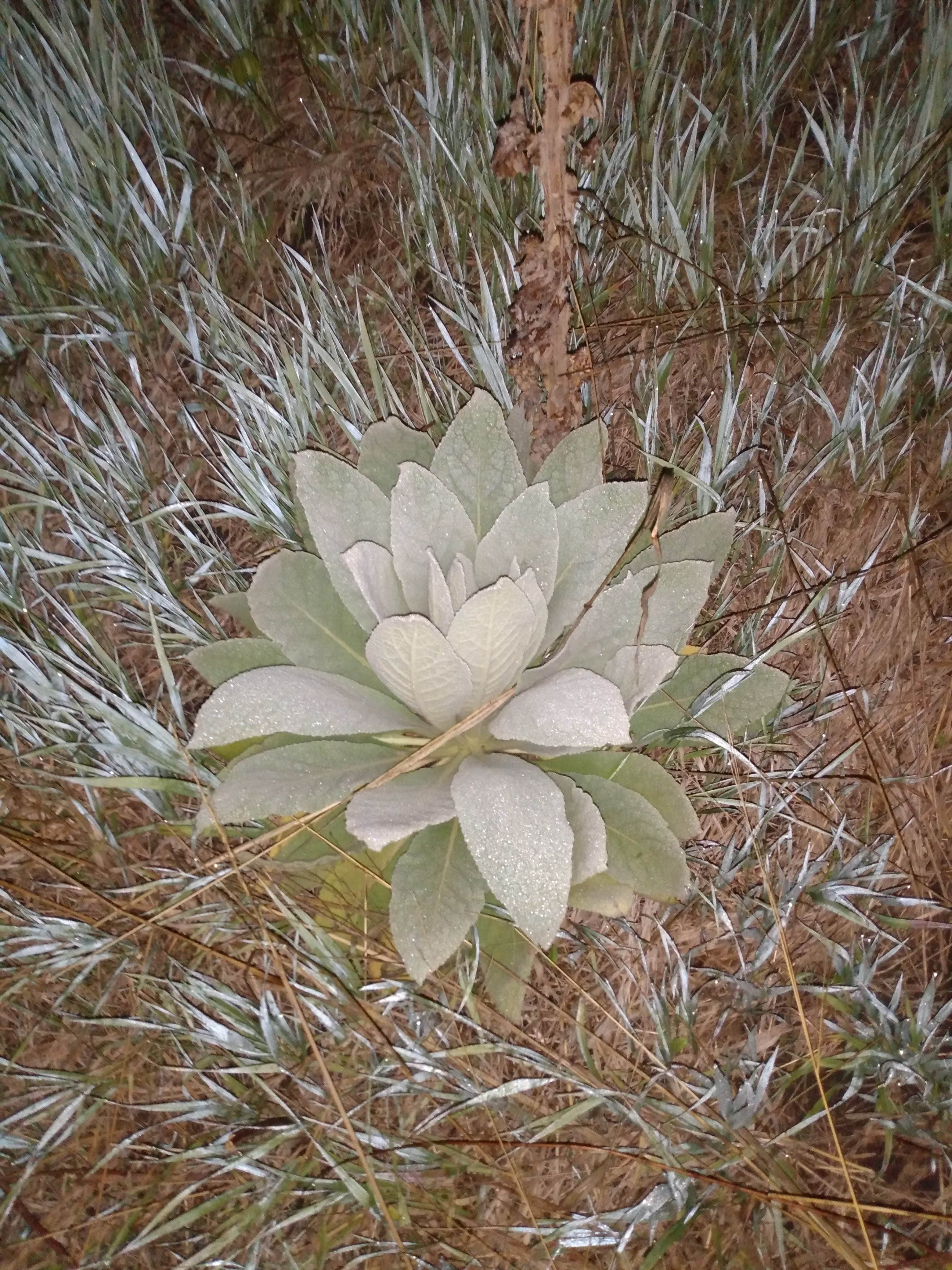 Camper-submitted photo at Wildwood Lake near Brainard, NE