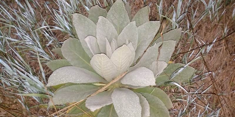 Camper submitted image from Wildwood Lake