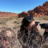 Review photo of BLM dispersed camping west of Valley of Fire by Brittany N., May 13, 2021