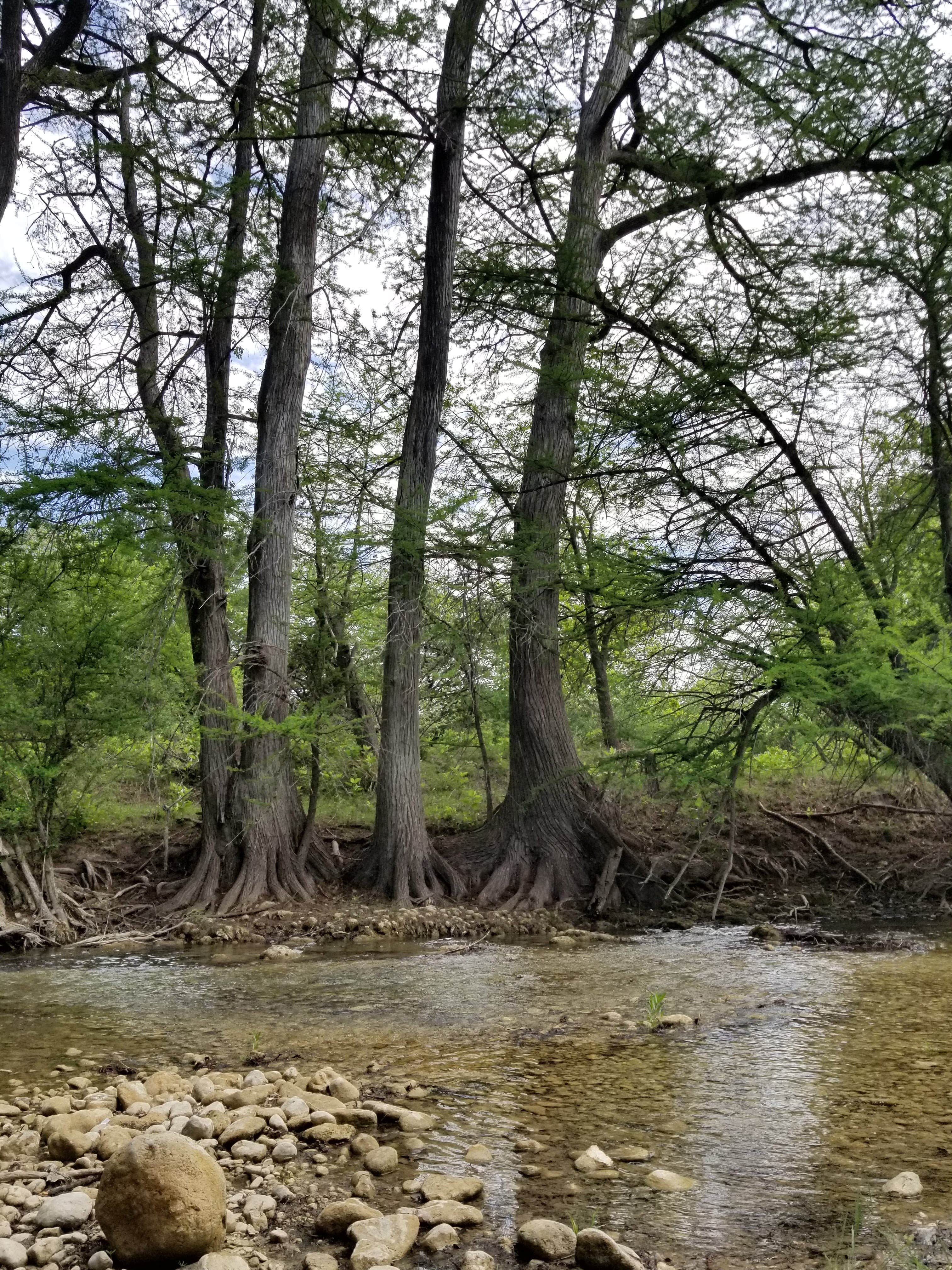 Camper submitted image from Skyline Ranch RV Park - 3