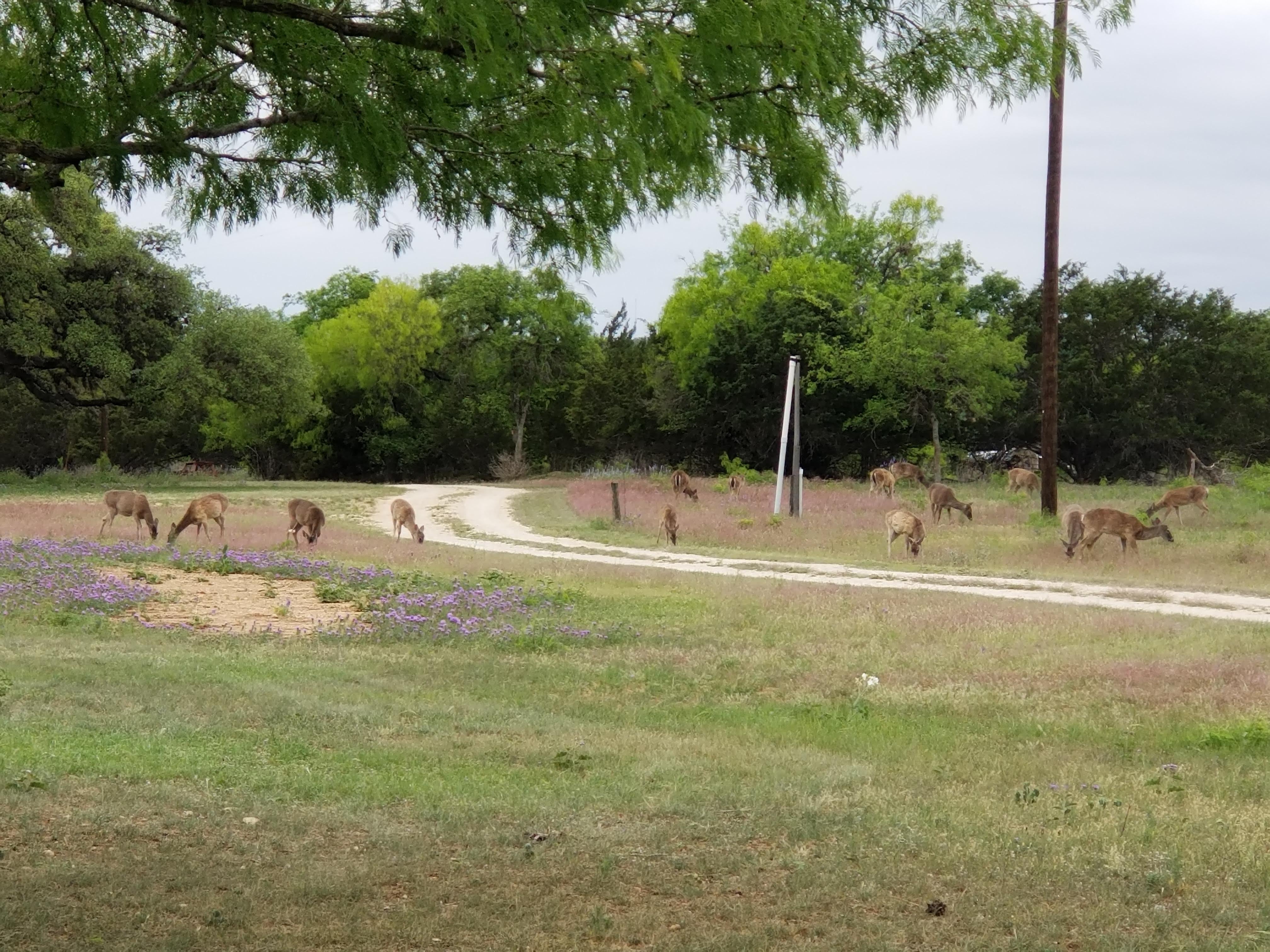 Camper submitted image from Skyline Ranch RV Park - 5