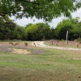 Review photo of Skyline Ranch RV Park by Denise V., May 13, 2021