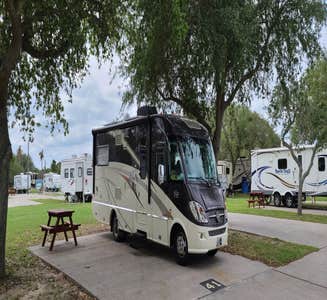 Camper-submitted photo from Wilderness Oaks RV Resort