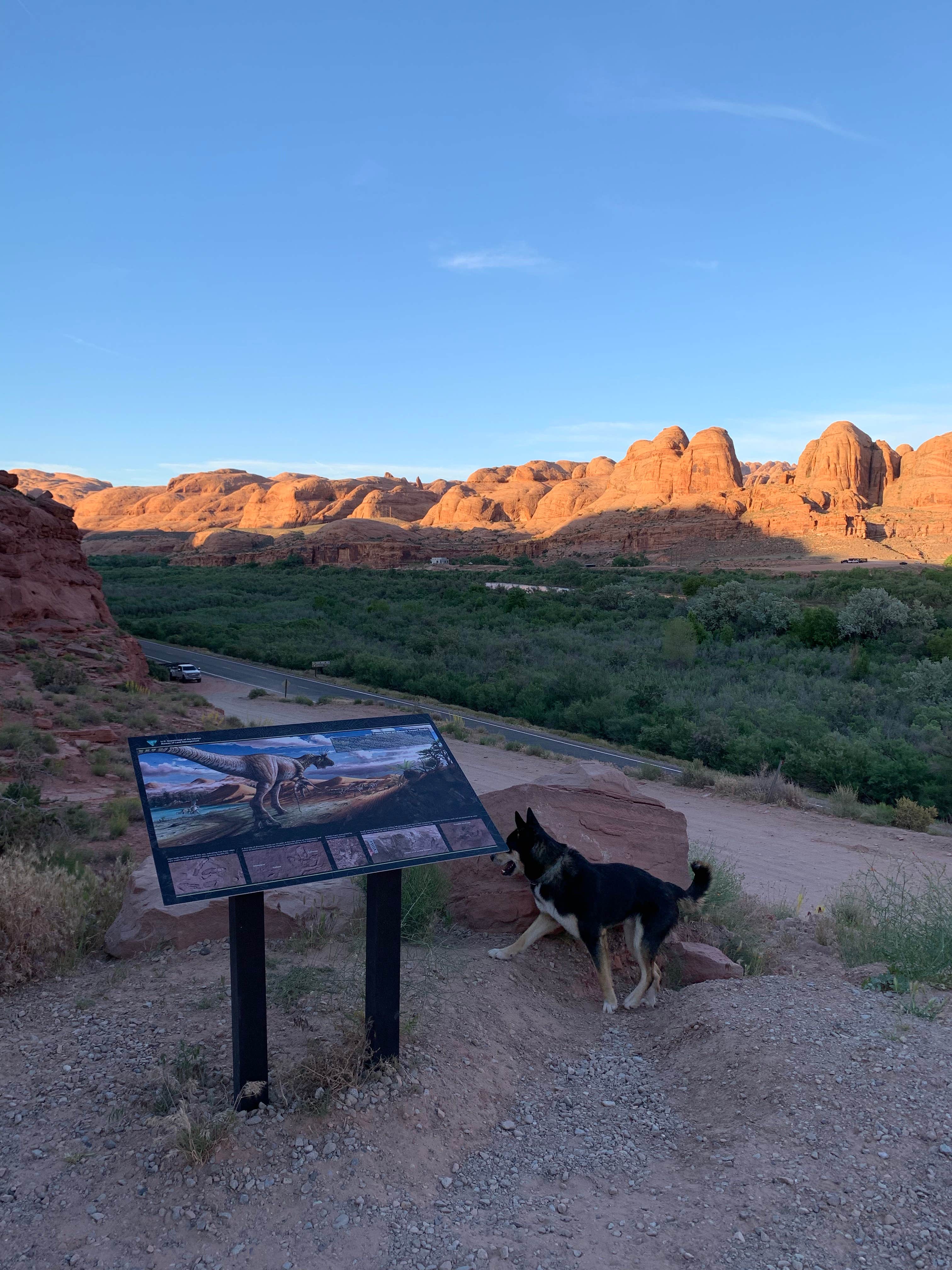 Camper-submitted photo at Potash Road (Dispersed) near Canyonlands National Park