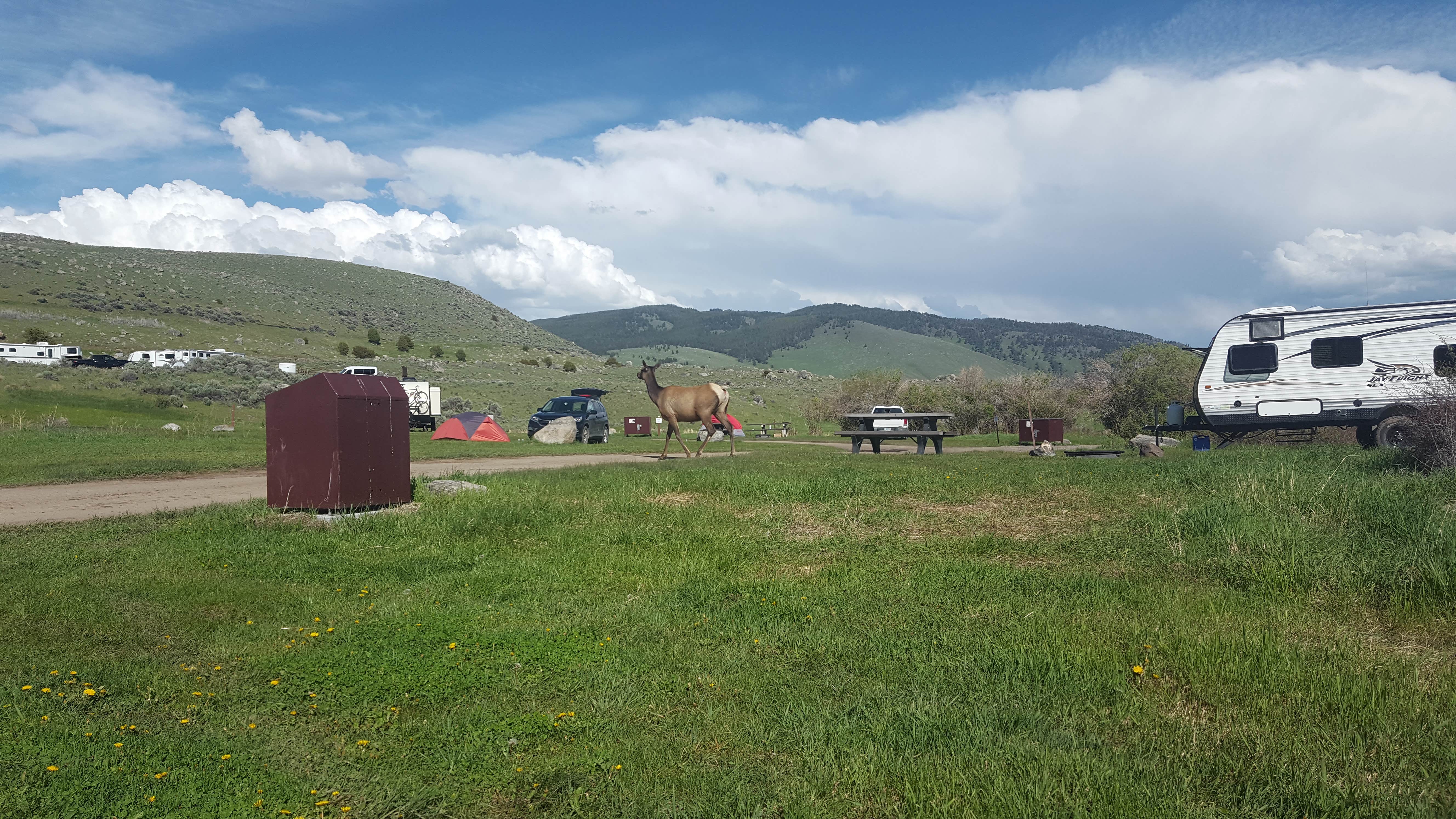 Mike H.'s photo of rv camping at Eagle Creek Campground near Shoshone National Forest