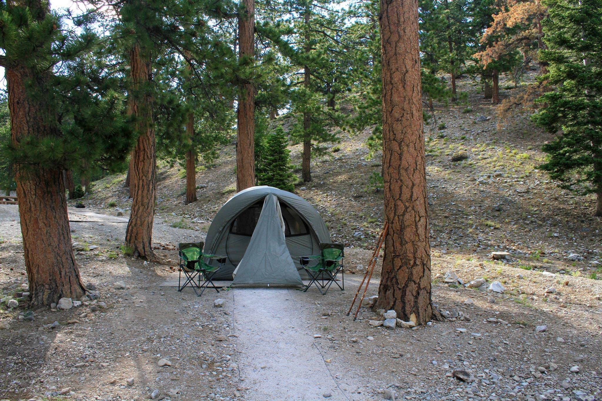 Nikki E.'s photo at McWilliams Campground near Indian Springs, NV
