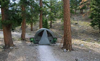 Nikki E.'s photo at McWilliams Campground near Blue Diamond, NV
