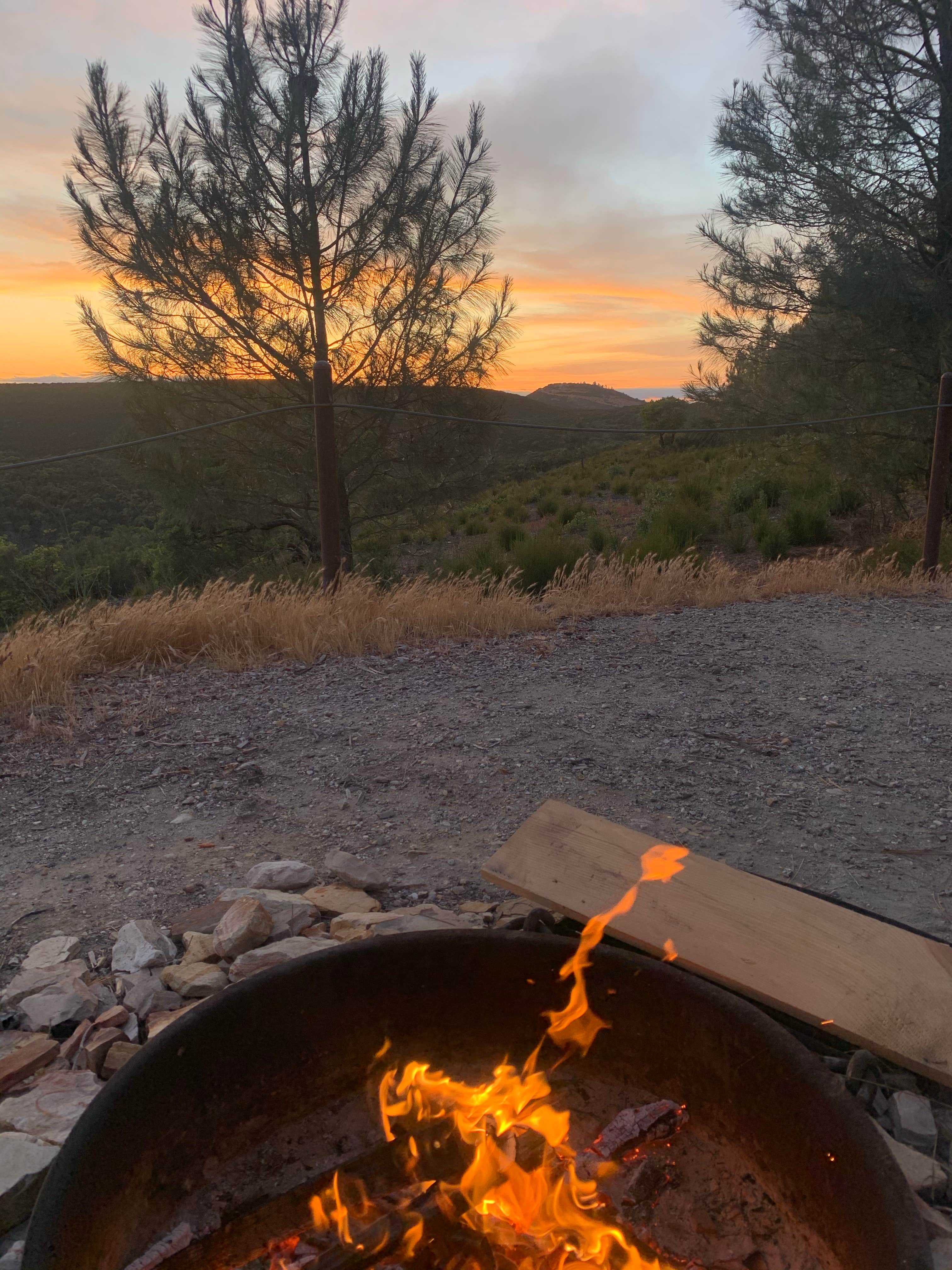 Camper submitted image from Williams Hill Recreation Area - 4