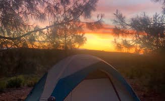 Toni  K.'s photo at Williams Hill Recreation Area near San Simeon, CA