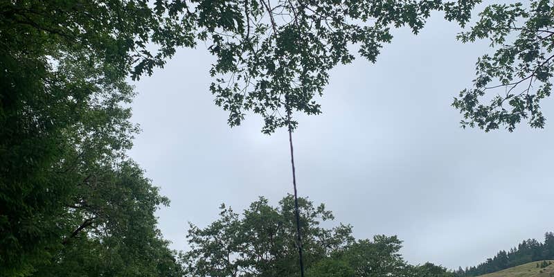 Camper submitted image from BLM Dispersed Camping - Lacks Creek