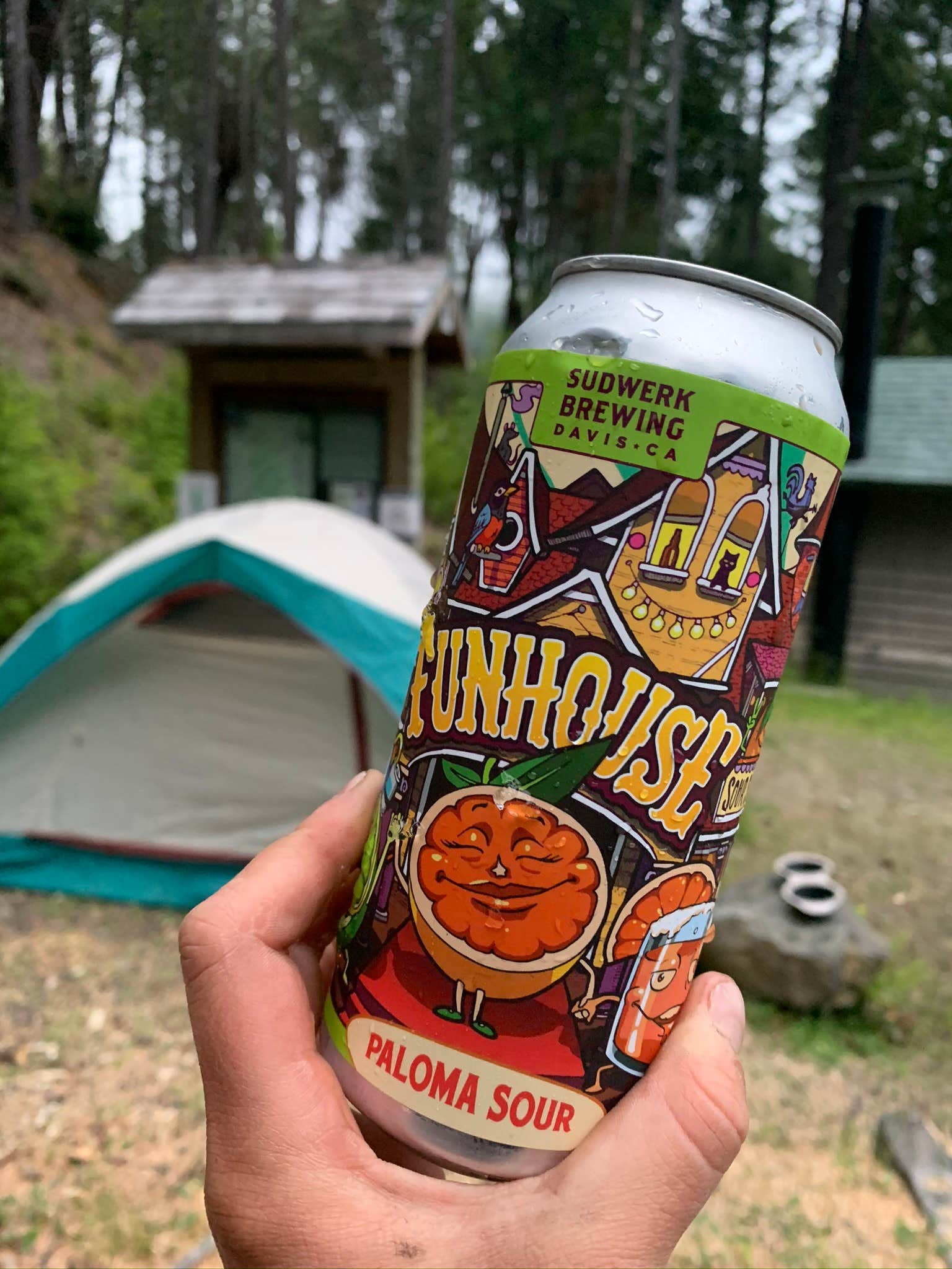 Toni  K.'s photo at BLM Dispersed Camping - Lacks Creek near Blue Lake, CA