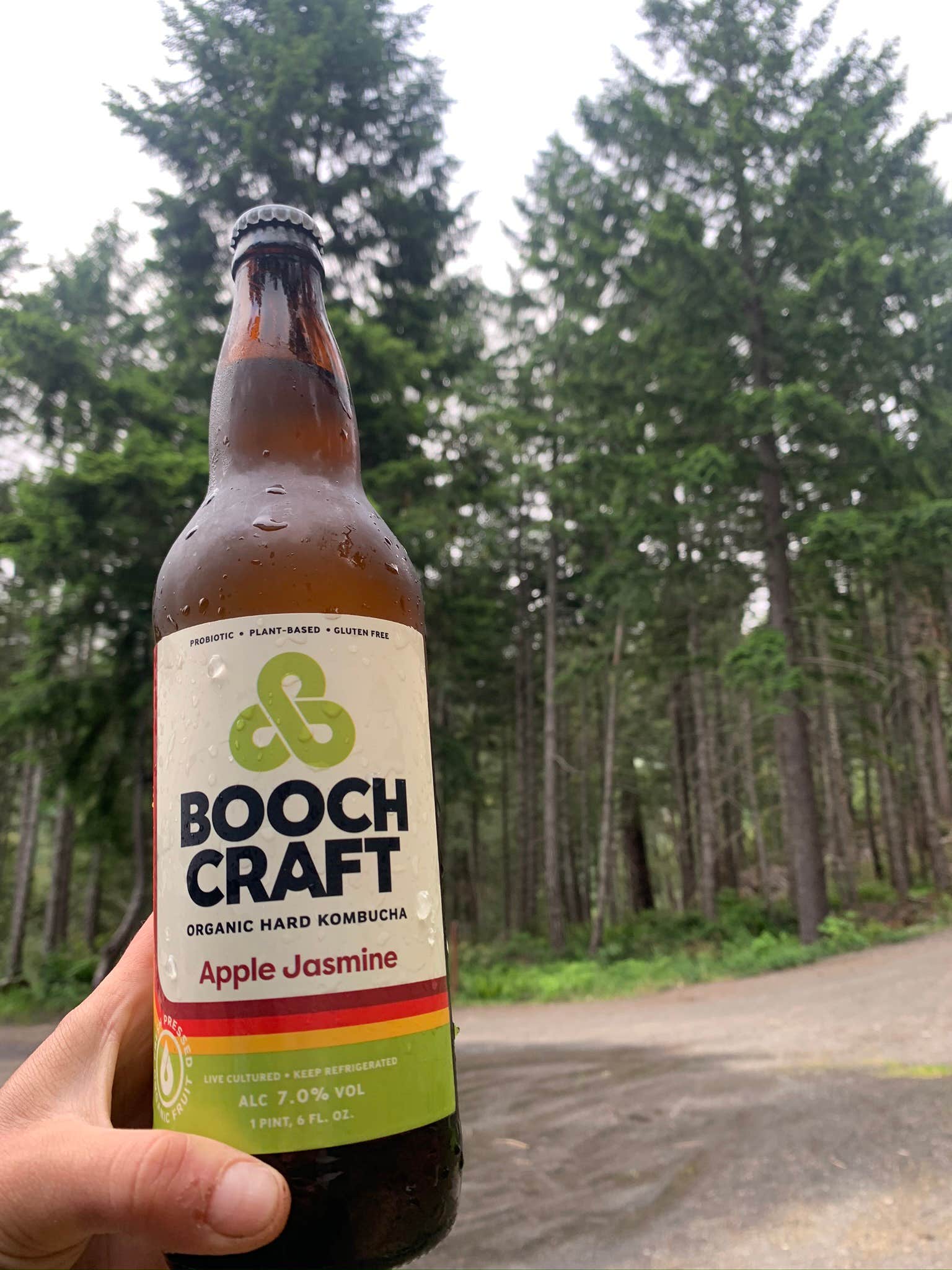 BLM Dispersed Camping Lacks Creek - Lacks Creek Bbbd27ed 3697 412d Adc3 F1413075719c 