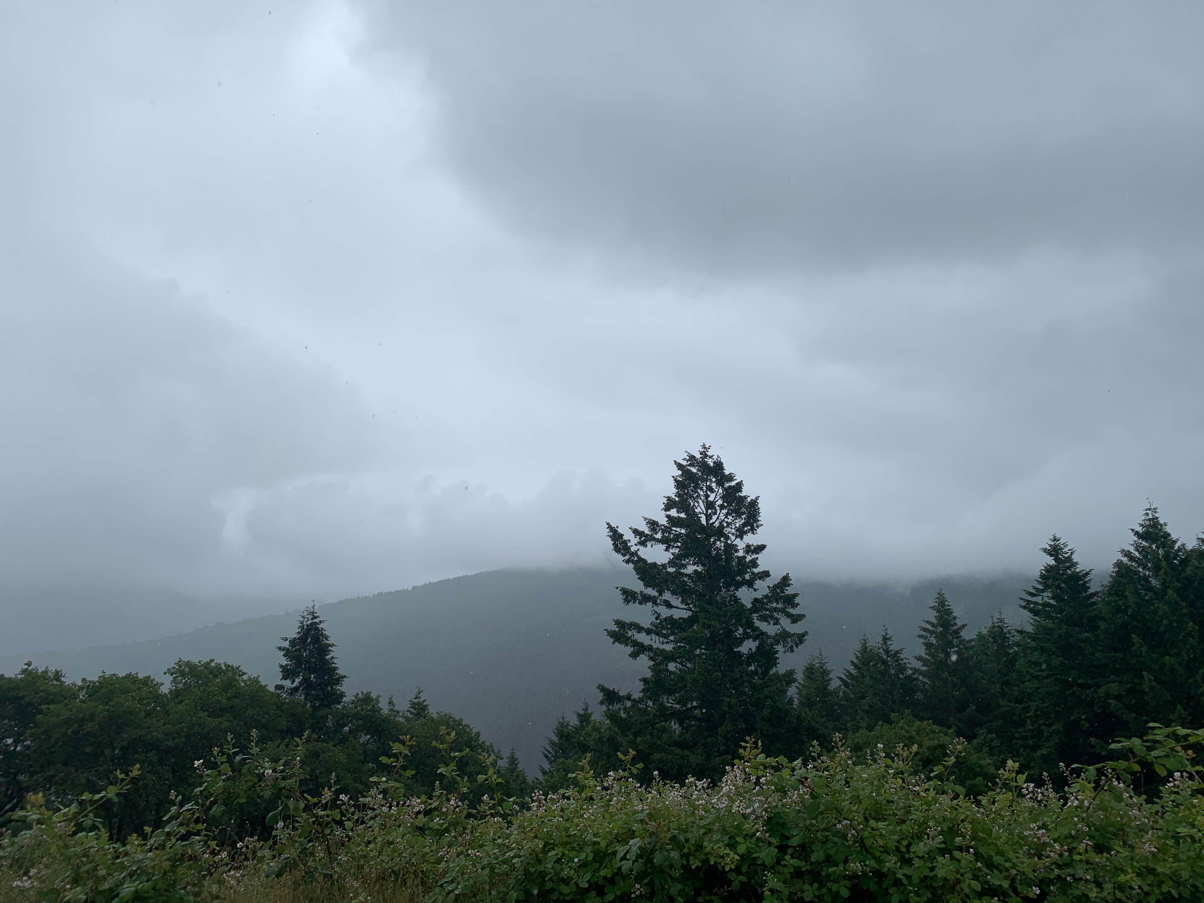 Camper-submitted photo at BLM Dispersed Camping - Lacks Creek near Ferndale, CA