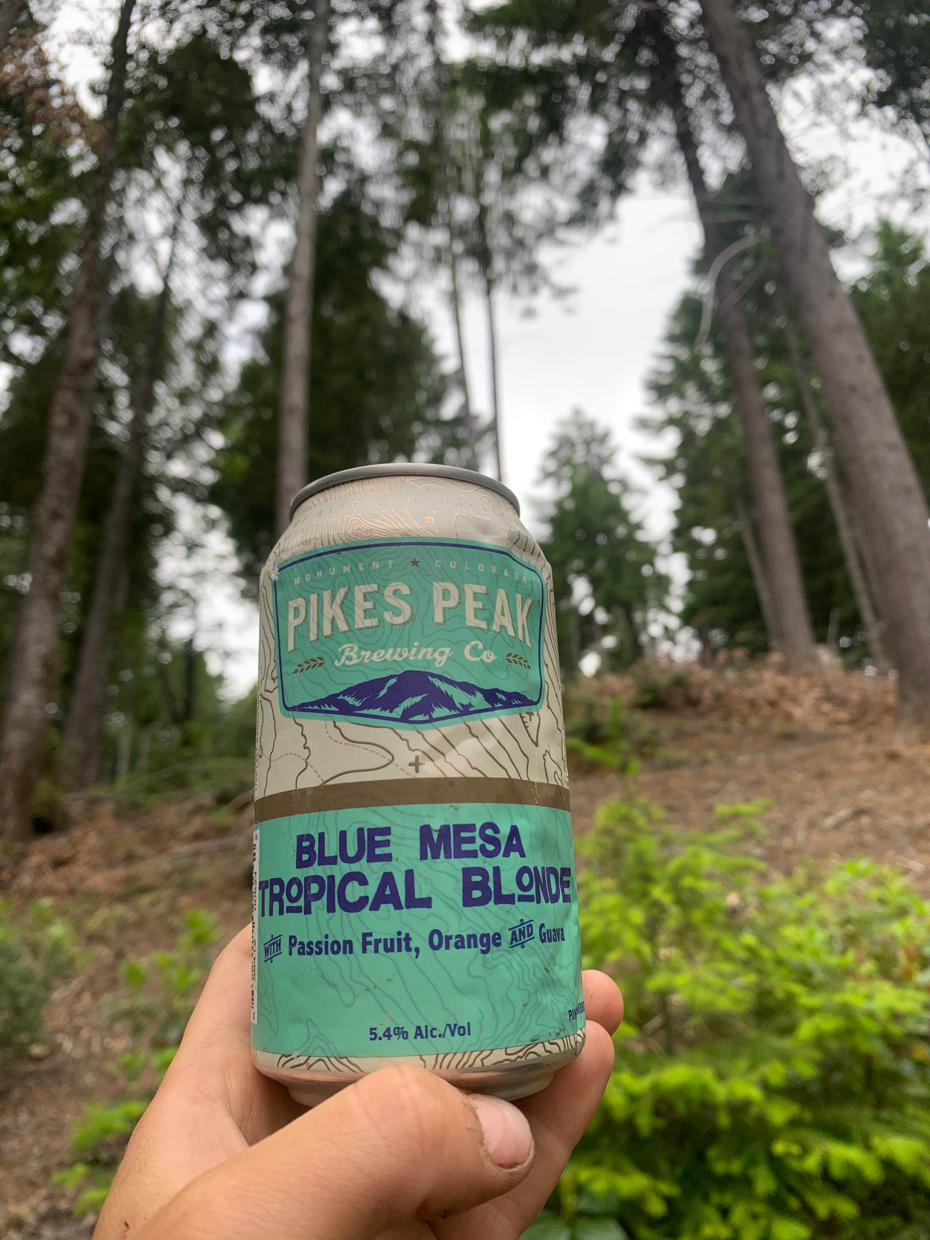 Camper-submitted photo at BLM Dispersed Camping - Lacks Creek near Ferndale, CA