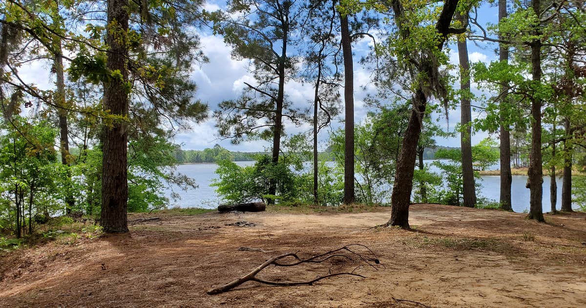 Louisiana photo 5