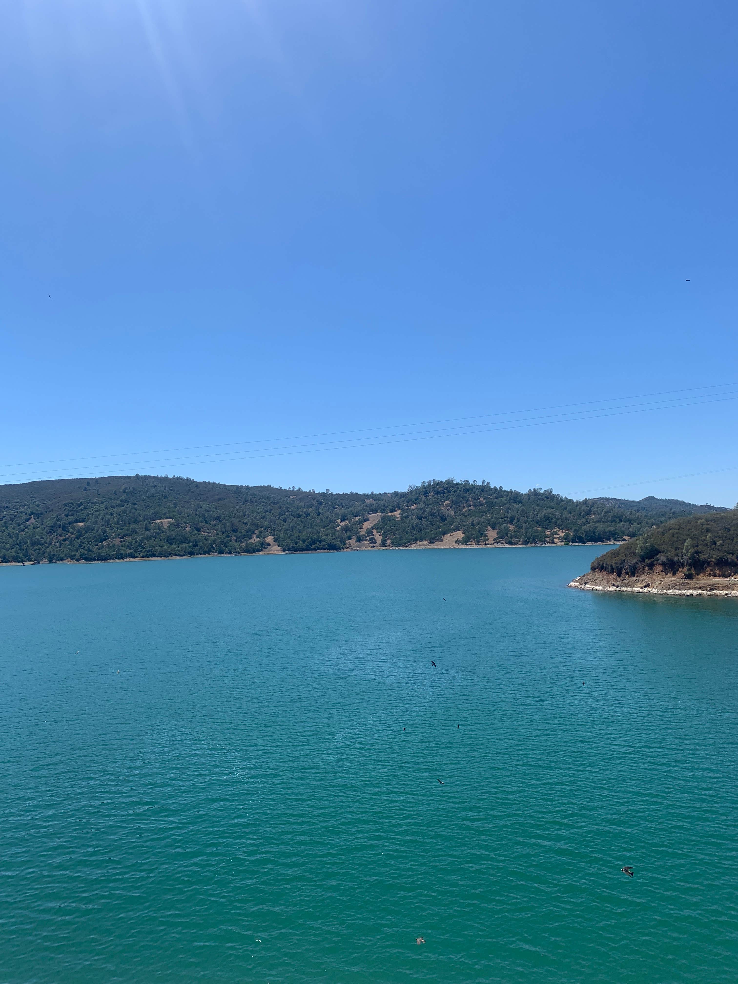Camper-submitted photo at Manzanita Canyon - Lake Berryessa - USBR near Dixon, CA