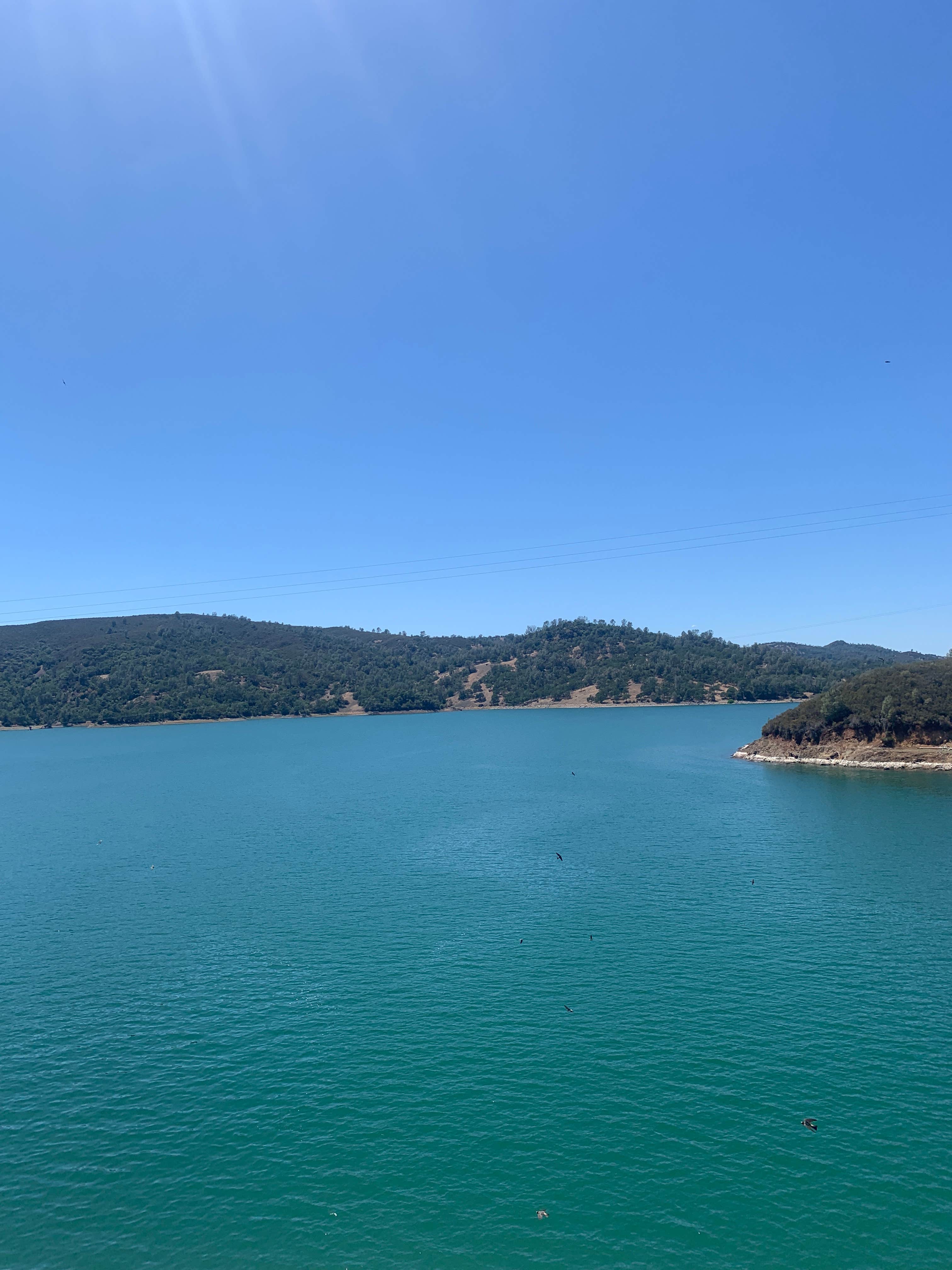 Camper submitted image from Manzanita Canyon - Lake Berryessa - USBR - 1