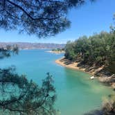 Review photo of Manzanita Canyon - Lake Berryessa - USBR by Toni  K., May 14, 2021