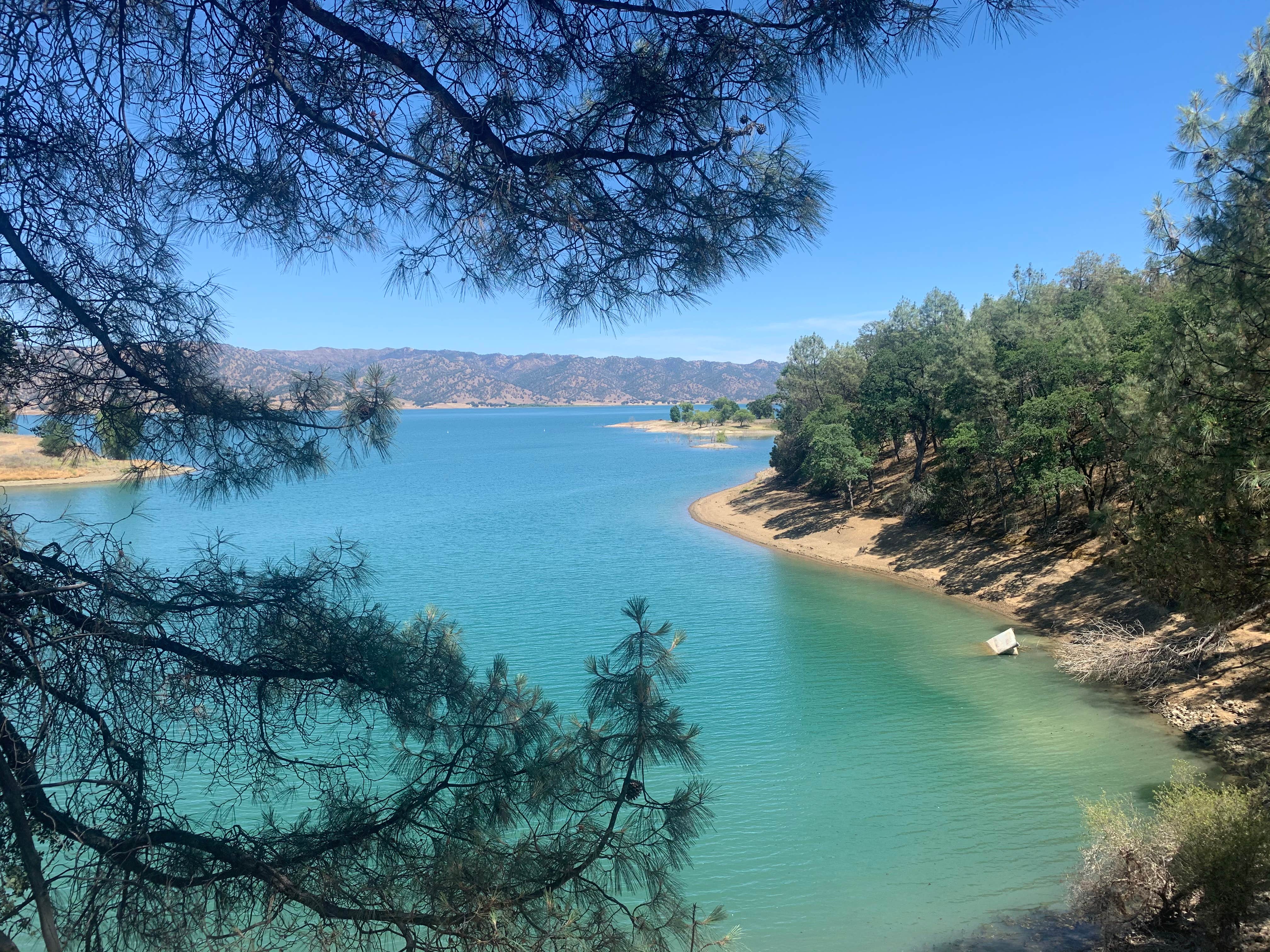 Camper submitted image from Manzanita Canyon - Lake Berryessa - USBR - 3