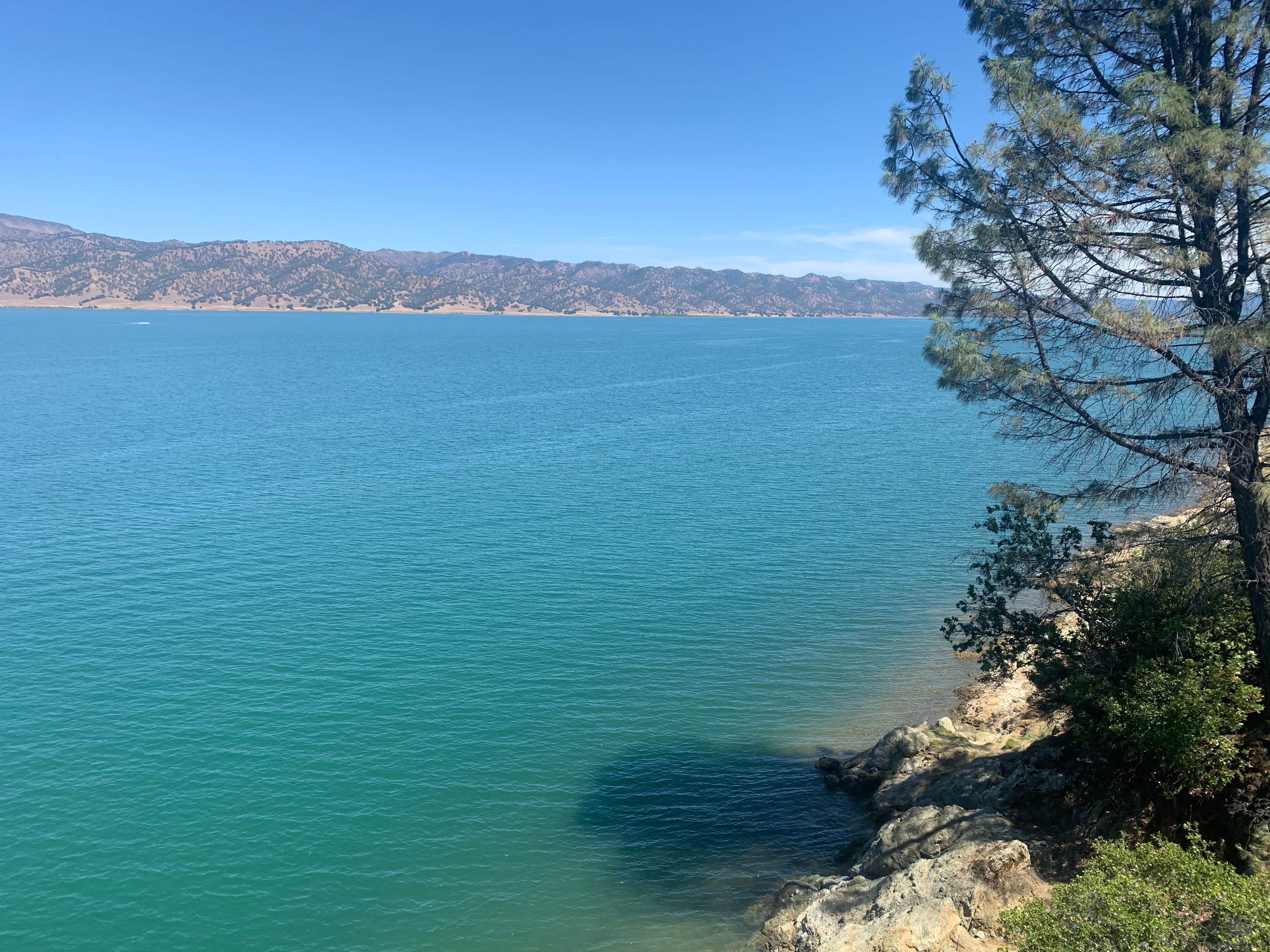 Camper submitted image from Manzanita Canyon - Lake Berryessa - USBR - 2