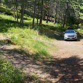 Review photo of West Shore Unit — Flathead Lake State Park by Lora W., May 14, 2021