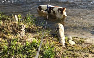 Kevin's photo of camping with pets at Riverview RV Park & Campground near Longmont, CO